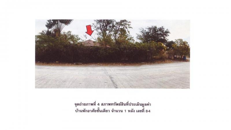 เขาดินพัฒนา เฉลิมพระเกียรติ สระบุรี