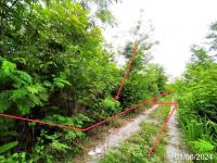 ขายที่ดินว่างเปล่า